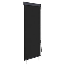 vidaXL - Tenda avvolgibile per esterni, 60 x 250 cm, colore: Antracite