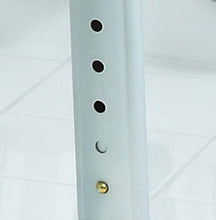 Ridder A0050401 - Sgabello da bagno girevole ad altezza regolabile, colore: Bianco