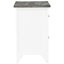 vidaXL 2x Comodino 2 Cassetti Grigio Bianco Mobiletto Mobile Arredo Armadietto
