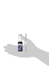 FORTE PHARMA Melatonina Spray 1900 20Ml