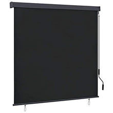 Tenda a rullo per esterni, 160 x 250 cm, antracite