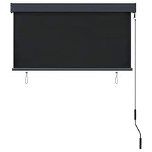 vidaXL - Tenda avvolgibile per esterni, 120 x 250 cm, colore: Antracite