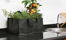 Catral Germania Città Giardino, Planter Bag, 2 Un/Set, Trasparente, 38 x 28 x 18 cm, 71080005