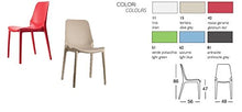 GBSHOP Sedia Ginevra Colorata per Esterni/Interni Confezione da 6 Pezzi