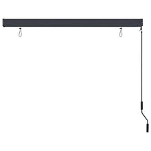 Tenda a rullo per esterni, 160 x 250 cm, antracite