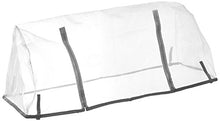 Catral Germania Città Giardino, Insetti Custodia Kit Planter, Trasparente, 104 x 44 x 39 cm, 71080010