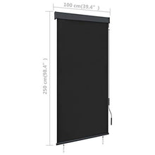vidaXL - Tenda avvolgibile per esterni, 100 x 250 cm, colore: Antracite