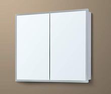 4E - Armadietto a Specchio con Strisce in Acrilico, Struttura in Alluminio e Ante specchiate (100 x 70 x 13,5 cm (L x A x P))