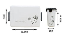 SaySure - Lunch Box Bento Box for Sushi Food Container + Water Cup