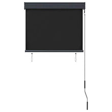 vidaXL - Tenda avvolgibile per esterni, 80 x 250 cm, colore: Antracite