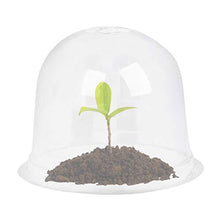 Emeili 6Pcs Coperture per Piante in Plastica, Mini Copertura per Piantagione a Temperatura Costante, Coperture per Piante a Campana Riutilizzabili per Giardino