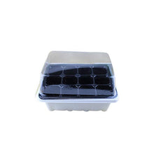 MH - Set di vasi in plastica per piante e semi, con cupola e base da giardino