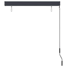 vidaXL - Tenda avvolgibile per esterni, 120 x 250 cm, colore: Antracite