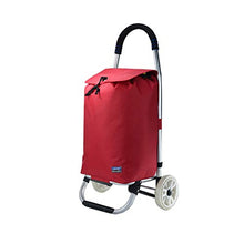 Carrello Pieghevole Carrello Spesa (Colore : C)