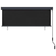 Tenda a rullo per esterni, 160 x 250 cm, antracite
