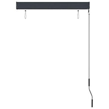 vidaXL - Tenda avvolgibile per esterni, 100 x 250 cm, colore: Antracite