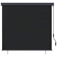 Tenda a rullo per esterni, 160 x 250 cm, antracite