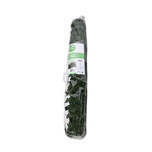 Catral 43020012 cespuglio Artificiale Hedra, Verde, 300 x 3 x 100 cm