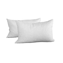 EVERGREENWEB Migliore Coppia Cuscini in Fiocco Memory Foam Cervicale 40x70 cm Tessuto Imbottito Traspirante, 2 Guanciali per Dormire, Cuscini per Rilassare Il Collo Adatti a Tutti Materassi e Letti