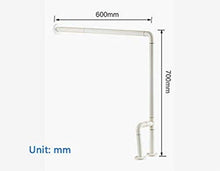 Maniglioni da Bagno Bagno bracciolo più Vecchio Bagno Bagno accessibile in plastica Vasca di Sicurezza corrimano Grab Bars Accessori da Bagno