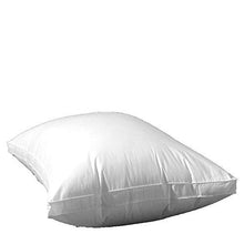 SSFPP Down Pillow Core Down Pillow Core Home Adult Pillow Cotton Single@Section B_48*74cm