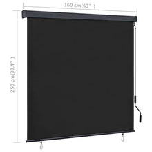 Tenda a rullo per esterni, 160 x 250 cm, antracite