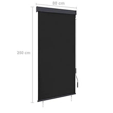 vidaXL - Tenda avvolgibile per esterni, 80 x 250 cm, colore: Antracite