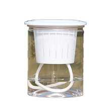 QJXSAN Assorbimento Flower Pot Automatico d'Acqua Trasparente Rotonda idroponica Flower Pot (Size : Small)