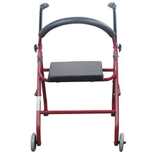 Telaio da passeggio Roller Pieghevole Leggero A Due Ruote con Sedile Imbottito E Maniglie Ergonomiche (Rosso)