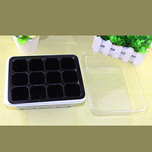 MH - Set di vasi in plastica per piante e semi, con cupola e base da giardino