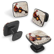 Note musicali e tre rose Pomelli per Porta Set di 4 Pomelli per Mobili Manopole per Cassetti Cucina Armadio Vetro