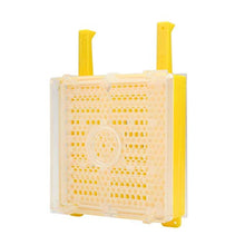 kdjsic Kit per l'allevamento della Regina di Apicoltura Coppe per Celle Catcher Box Gabbie a rulli per l'allevamento di api Strumenti per Alveare