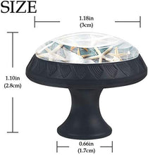 Conch Starfish Shell Seashell Beach Pomelli per Porta Set di 4 Pomelli per Mobili Manopole per Cassetti Cucina Armadio Vetro