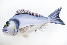 Cuscino Pesce der Dorada 63 cm peluche PESCI kuscheltie cuscino peluche