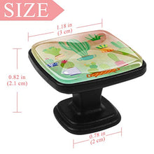 piante grasse (2) 4 PCS Pomelli per Porta, Pomolo per Mobile, Pomelli per Mobili con Viti, Maniglia per Armadietto, Pomelli per Porta, Pomelli per Cassetti per Porta, Armadio, Cassetto e Credenza