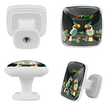 Uccello del fumetto 4 PCS Pomelli per Porta, Pomolo per Mobile, Pomelli per Mobili con Viti, Maniglia per Armadietto, Pomelli per Porta, Pomelli per Cassetti per Porta, Armadio, Cassetto e Credenza