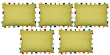 Palm Cushion Cover with Colorful Tassels (5 PCS 14 x 20â)