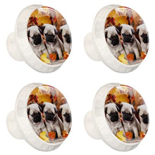 Maniglie per cassetti Manopole per cassetti Manopole rotonde Confezione da 4 per armadietto, cassetti, cassettiere, cassettiere ecc. cane