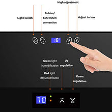 VIY Umidificatore per Sigari, Humidor, 12-18 °C, Touch Display Digitale, 38 Db, Illuminazione A LED, 70 L, 200-250 Sigari, Ripiani in Legno di Cedro, Nero,d'oro