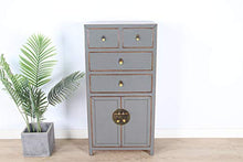 Yajutang - Cassettiera cinese con 4 cassetti, 2 ante, colore: grigio
