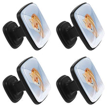 Volpe Pomelli per Porta Set di 4 Pomelli per Mobili Manopole per Cassetti Cucina Armadio Vetro
