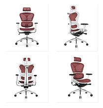 YUYTIN Sedia da Ufficio ergonomica con Supporto Lombare a Giudice, mobili da Ufficio in Maglia Back Office Sedia Girevole ergonomico Ufficio Ufficio Sedia in Maglia Executive