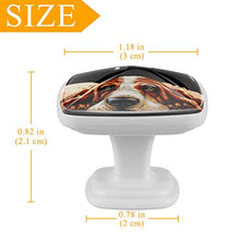 Cane sulla pancia 4 PCS Pomelli per Porta, Pomolo per Mobile, Pomelli per Mobili con Viti, Maniglia per Armadietto, Pomelli per Porta, Pomelli per Cassetti per Porta, Armadio, Cassetto e Credenza