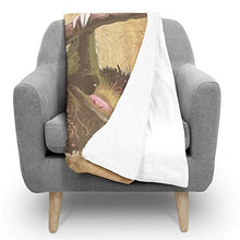 LAVYINGY Sloth Super Soft Blankets for Couch Bed Sofa