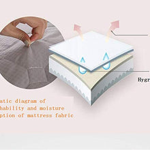 Z&HA Tatami Tappetino, 5 cm di Spessore Tappetino futon MattressTopper Tradizionale Giapponese futon ispessite Queen Size Standard Dimensione Dorm,E,80x190cm