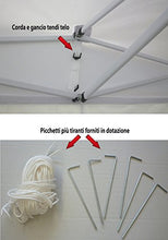 Savino Fiorenzo Gazebo Pieghevole telescopico 3x6 m. Telo Bianco