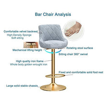 FPigSHS Sgabelli da Bar Set di 2 sgabelli da Bar in Metallo, sgabelli da Bar girevoli a 360°, sedie in Velluto con Schienale, sgabelli da Pranzo Moderni per Bar/caffè/Cucina/casa, Altezza: 65-80cm