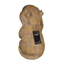 Relaxdays Statua Solare, Forma di Marmotta, Luce a LED, Decorazione per Giardino & Balcone, HxLxP 23 x 13 x 13 cm, Beige