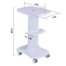 YIN YIN Carrello per Ripiani Carrello di stoccaggio - Carrello Doppio per Bellezza Carrello per Salone di Bellezza, Supporto per mensola per Staffa, Mobile Rack Carrello a rulli