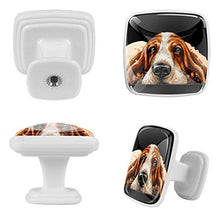 Cane sulla pancia 4 PCS Pomelli per Porta, Pomolo per Mobile, Pomelli per Mobili con Viti, Maniglia per Armadietto, Pomelli per Porta, Pomelli per Cassetti per Porta, Armadio, Cassetto e Credenza
